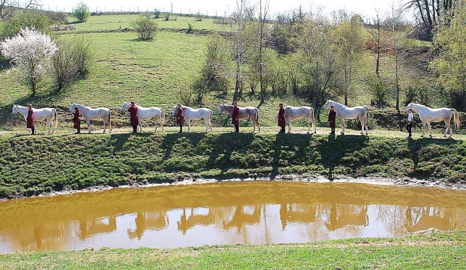 Kassai Lovasíjász Iskola Kaposmérő