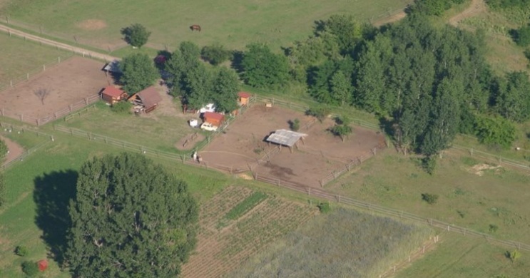 Happy Horse Póni és Lovasklub Szada