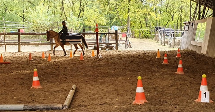 History Sportlovarda Pócsmegyer