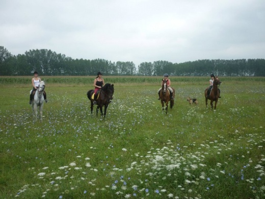 Gátőrházi Lovastanya Nagykőrös