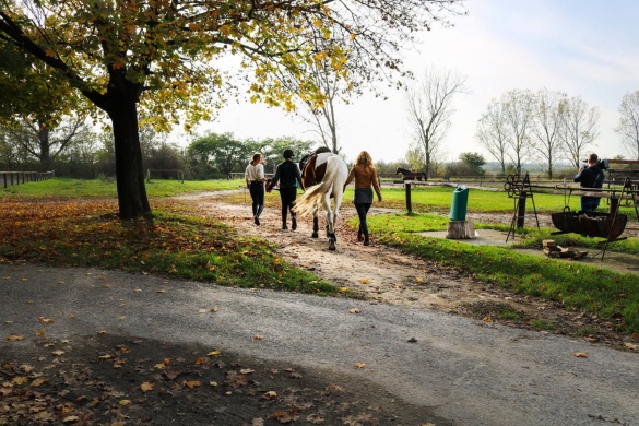 Nemzeti Lovaskultúra Központ Simonpuszta