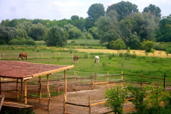 Kőhida Lovarda Gyömrő