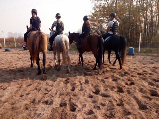 MonSerri Lovastanya Szatymaz