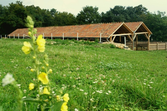 Zöldág Lovasudvar Olaszfalu