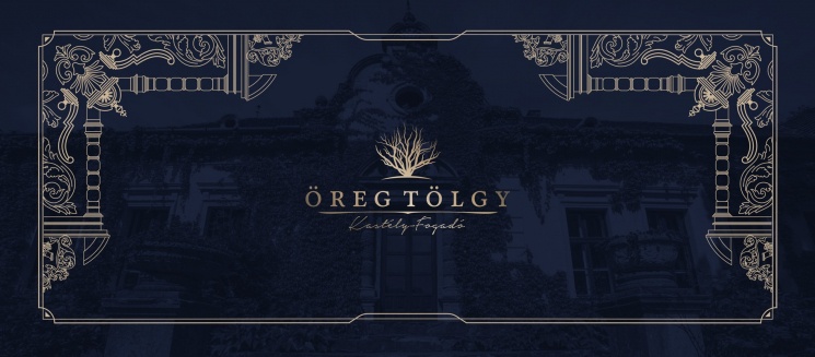 Öreg Tölgy Kastélyfogadó Pusztazámor