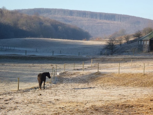 Álomvölgy Borzavár