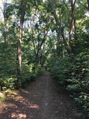 Agárdi Parkerdő Sport- és Szabadidőközpont