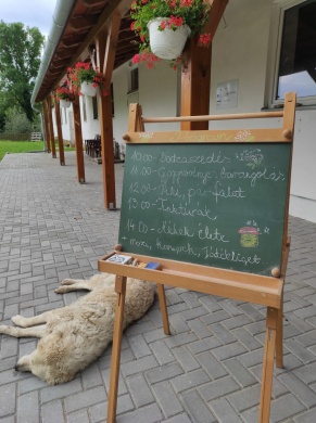 Gyógynövények Völgye ökológiai gazdaság Zalaszentlászló