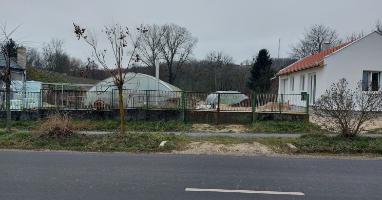 Parragi Kertészet Vindornyaszőlős