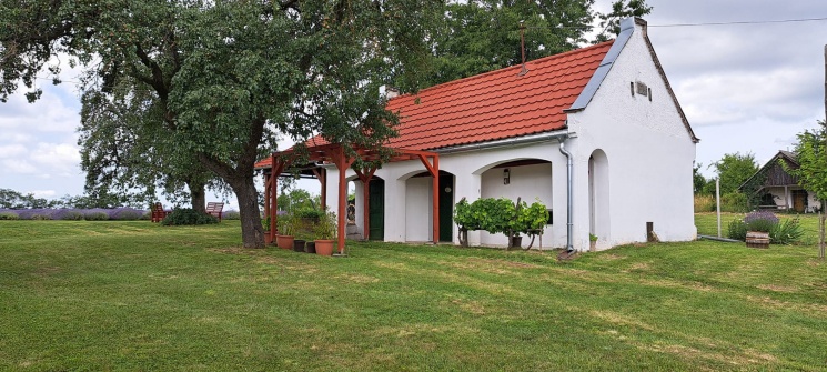 Újhegyi Levendulasziget Lovászpatona