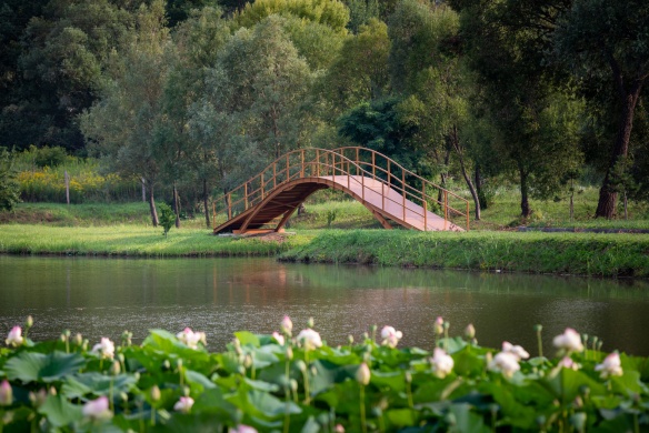 Gálffy Birtok Bogád