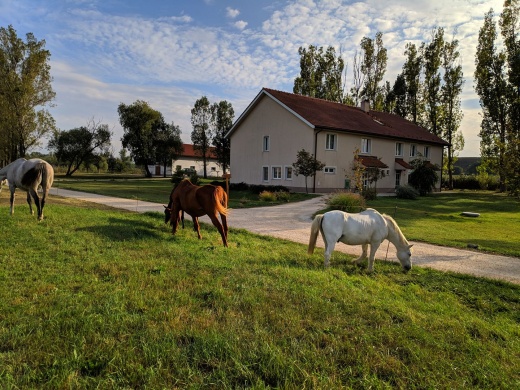 Szent Mihály Major Lelkigyakorlatos Ház Vál