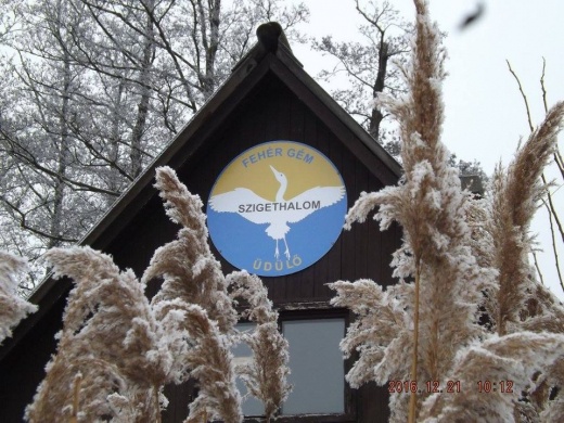 Fehér Gém Üdülő Szigethalom