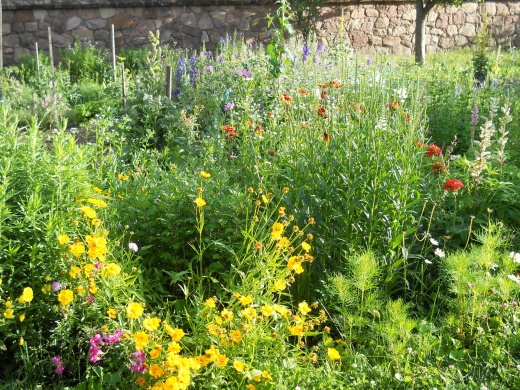 Biobia Porta Cserkút