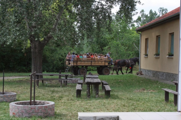 Pelikán-ház Erdei Iskola Seregélyes