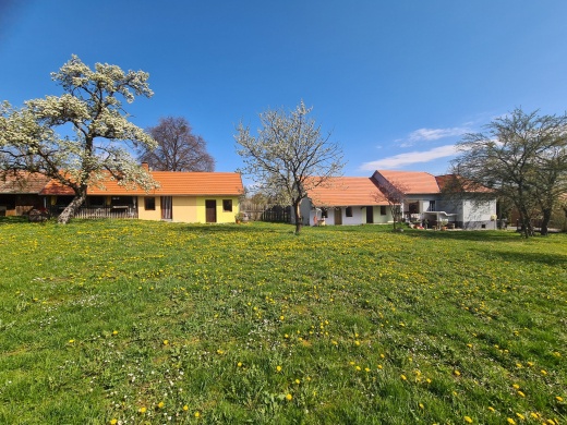 Bunte Villa Kerkateskánd