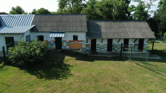 Tarka-Falka Kutyapanzió Kaposvár