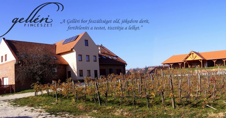 Gelléri Vendégház és Borterasz