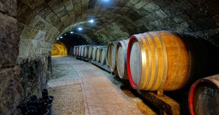 Barta Pincészet Mád