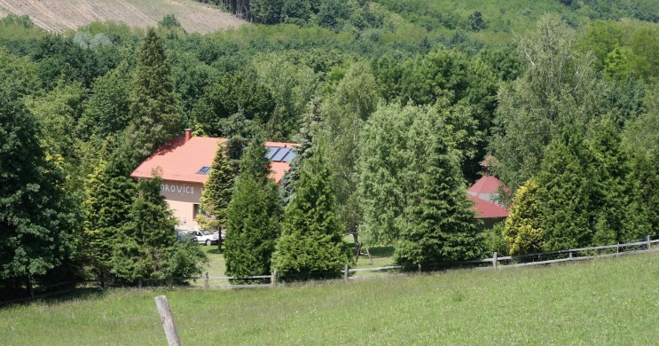 Borovics Vendégház