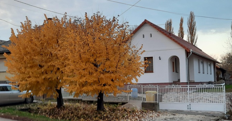 Anikó Vendégház Miklósi