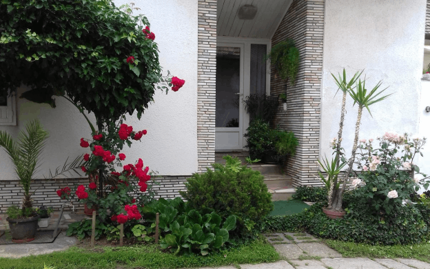 Dani Pince és Vendégház Villány