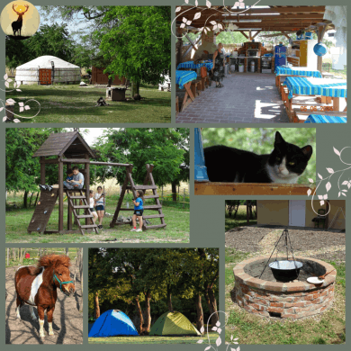 Napagancsos Csodaszarvas Kemping Jurta szállás és Szabadidő Központ Szarvas