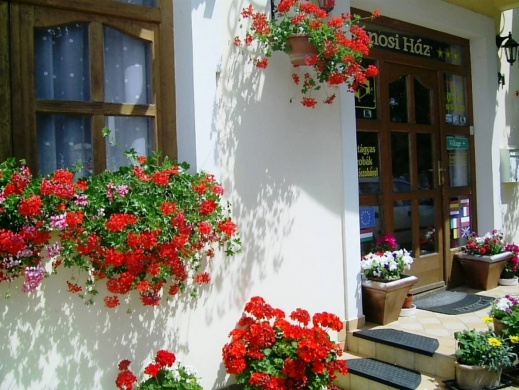Jánosi Vendégház Tiszafüred