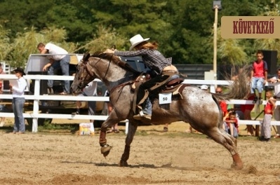 TB-Ranch Lovas Tanya