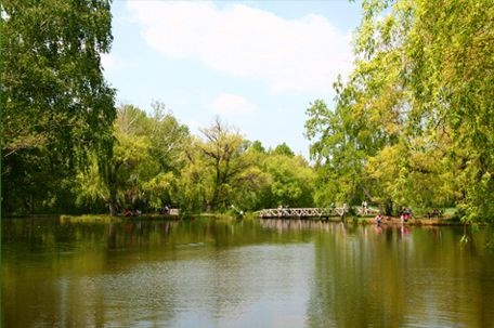 Mátra Tábor Sástó