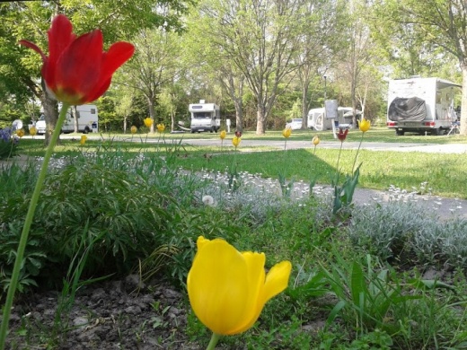 Túrkevei Thermalkemping Túrkeve