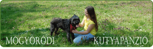 Mogyoródi Kutyapanzió