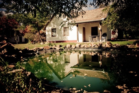 Bandi Tanya Kiskunmajsa