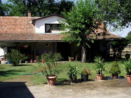 Forgó Lovastanya Pirtó