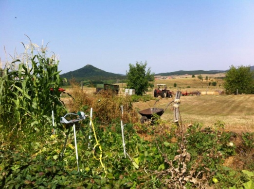 Sátormapuszta Biogazdaság