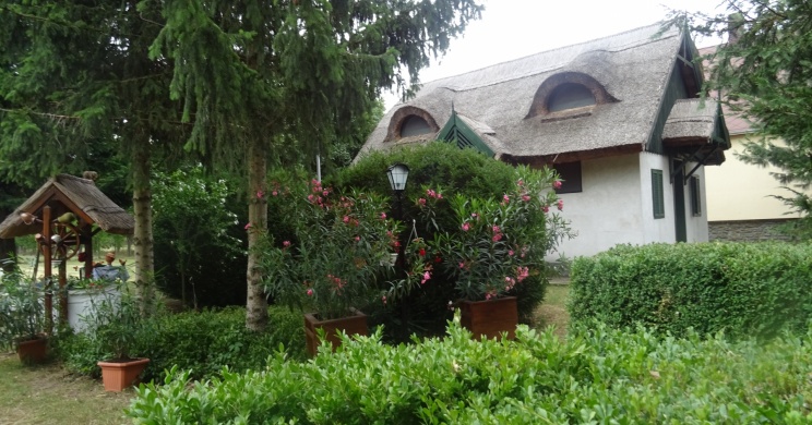 Csalogány Tábor és Erdei Iskola