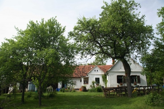 Csaliti Vendégház és Kemping és Jurtaszállás