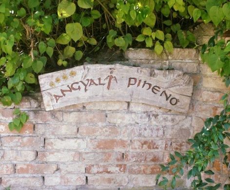 Angyali Pihenő Vendégház Kisfüzes