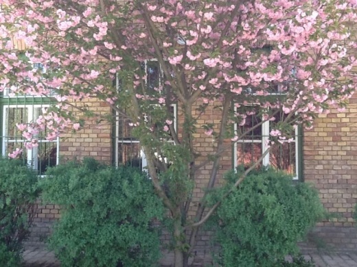 Erdei Iskola és Vendégház