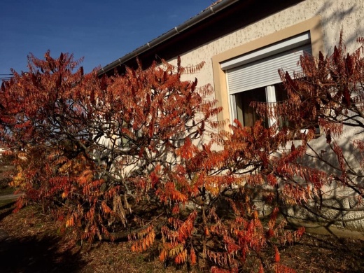 Éva Vendégház Sarud