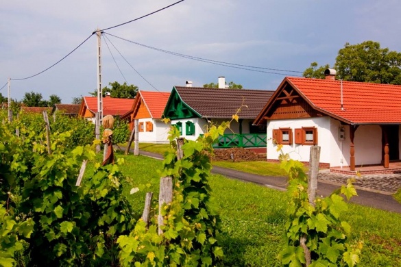 Patóhegyi Borházfalu