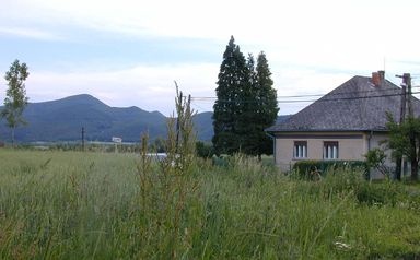 Vadvirág Vendégház Vilyvitány