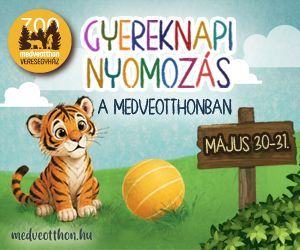Gyereknapi élményprogram a Veresegyházi Medveotthonban - nyomozós játék 2026. május 30-31-én
