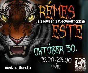 Halloween a Veresegyházi Medveotthonban 2026. október 30-án