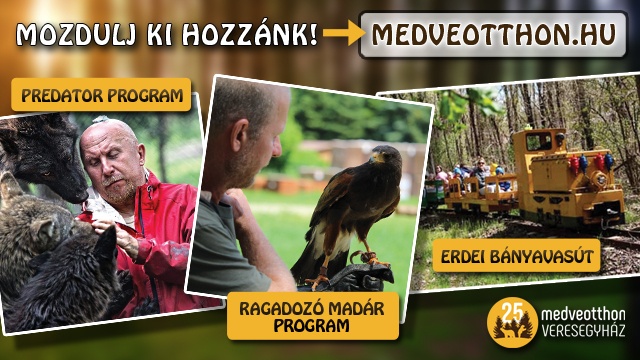 Veresegyházi Medveotthon látogatás: erdei bányavasút, predátor program, ragadozó madár program