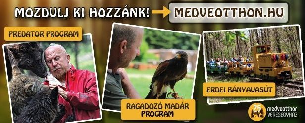Természetközeli élményprogramok a Veresegyházi Medveotthonban