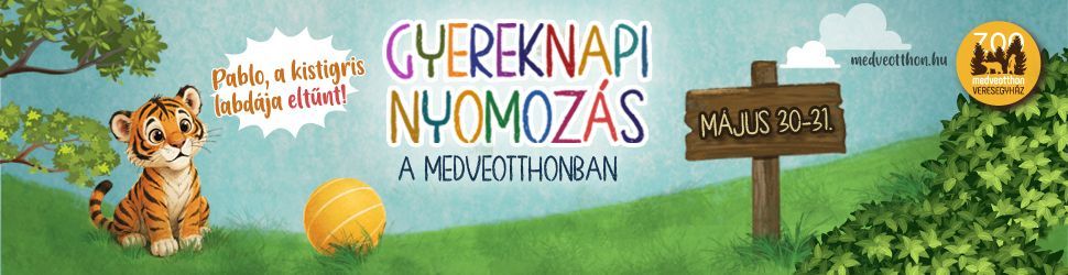 Gyereknapi élményprogram a Veresegyházi Medveotthonban - nyomozós játék 2026. május 30-31-én