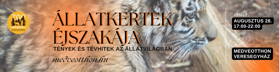 Állatkertek Éjszakája 2026. augusztus 28. Esti kaland a Veresegyházi Medveotthonban