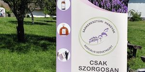 Levendulaszüret Sárkeresztúr 2026 - Újra kinyit levenduláskertünk a szüretelni és illatolni vágyók előtt!