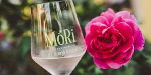 Mórikum Kultúr-Fröccs-Fesztivál 2026 Mór